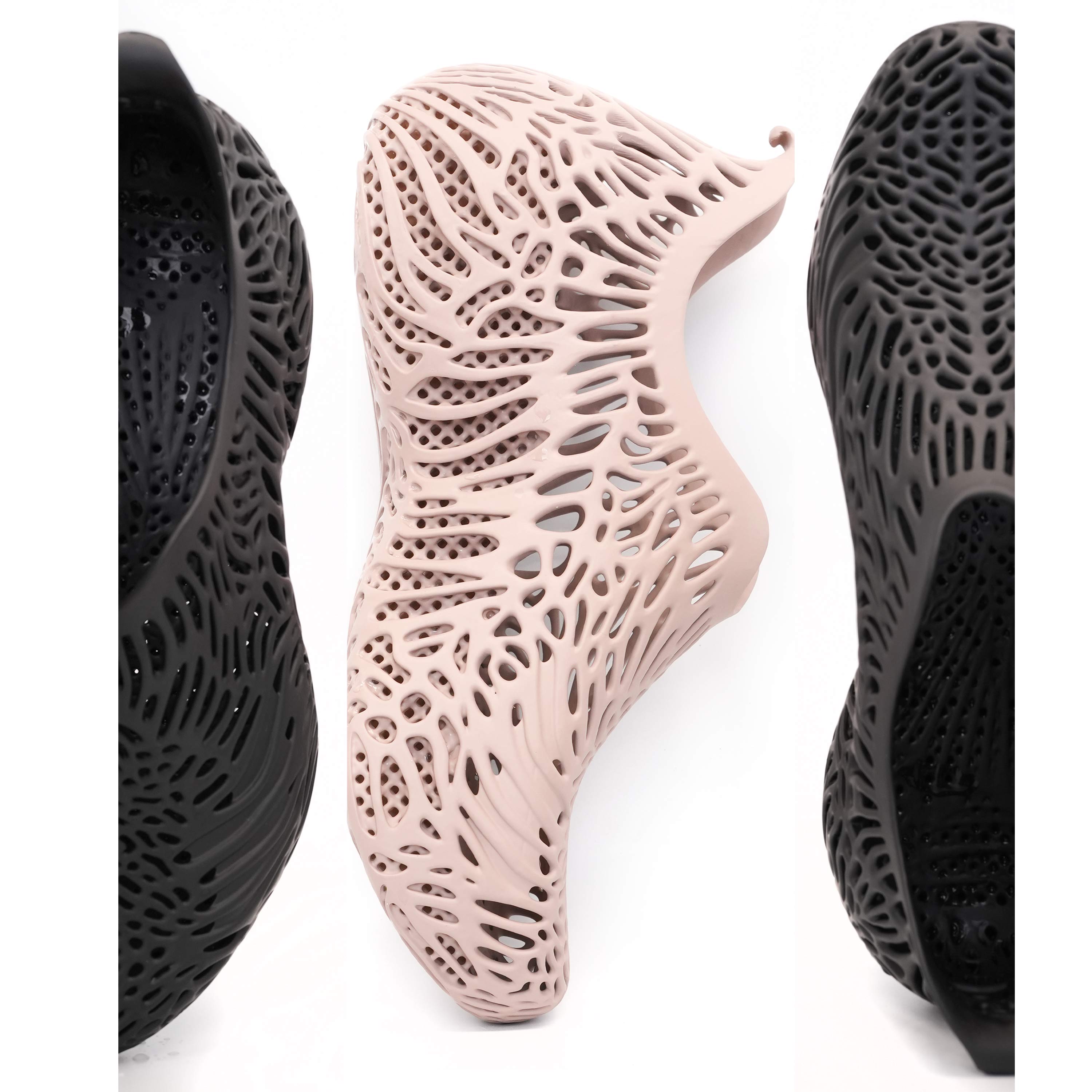 Shoe