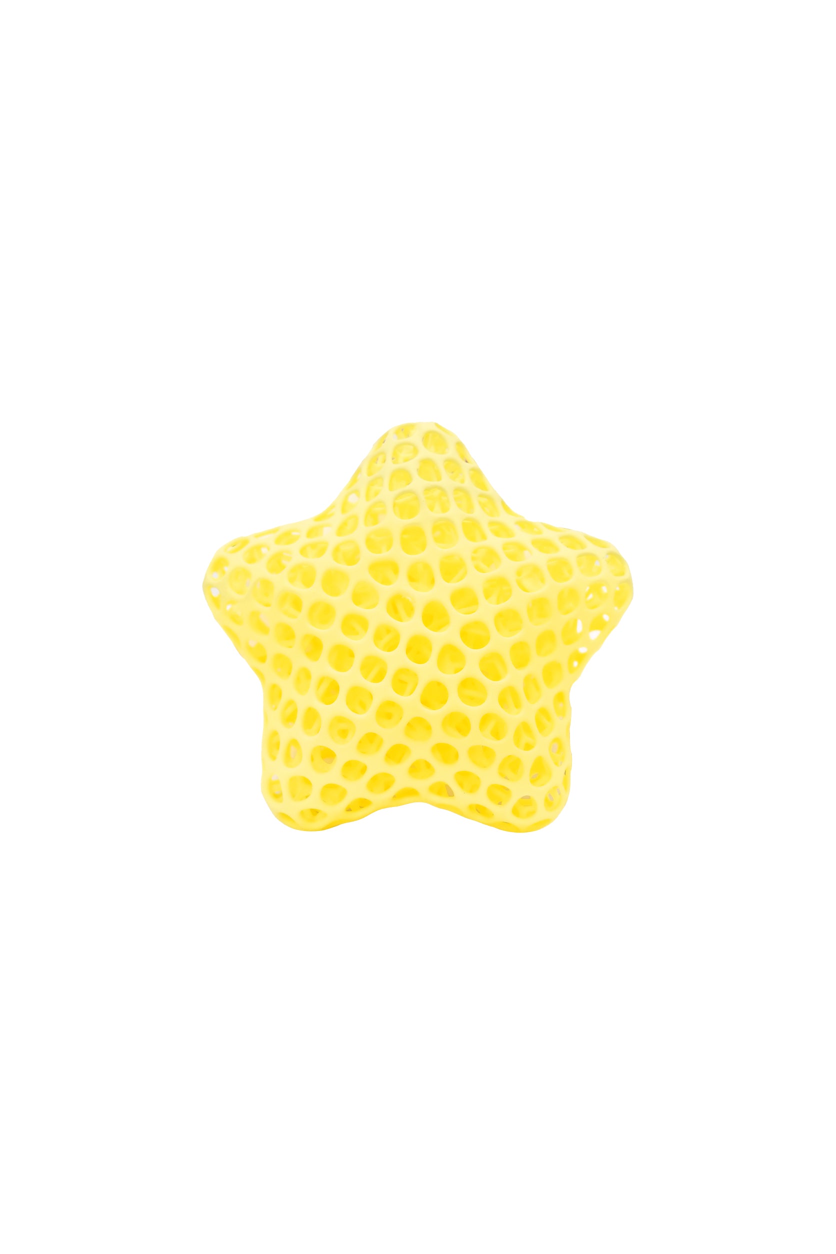 3D‑Printed Star Charm