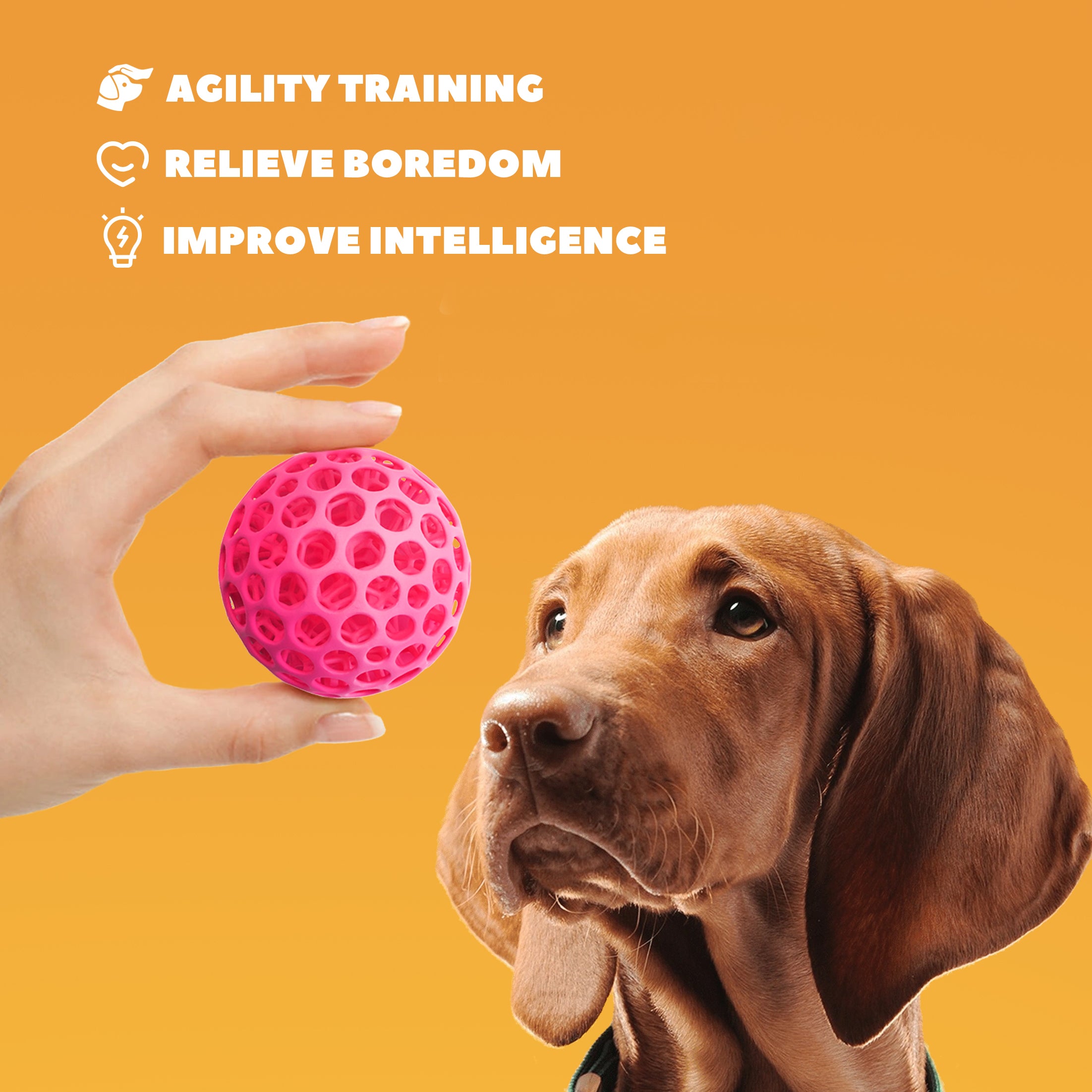 3D Stress Ball Set (Available in the US only) Do not participate in other promotions